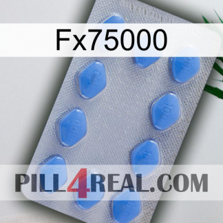 Fx75000 21